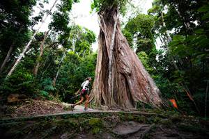 BIB: 
                            <button type="button" onclick="openModal(21898963)" class="btn btn-primary btn-sm float-right btn-popup" data-toggle="modal" data-target=".modal-high-quality">
                        <i class="fas fa-shopping-cart"></i> Add to Cart
                    </button>
                                            <button type="button" onclick="isThisMe(21898963, true)" class="btn btn-success btn-sm float-right btn-popup btn-isme hidden" data-toggle="tooltip" data-placement="bottom" title="นี่คือรูปของคุณใช่ไหม คลิกที่นี่เพื่อเอาเข้าอัลบั้ม">
                        <i class="fas fa-plus"></i> Add to album
                    </button>
                    <button type="button" onclick="isThisMe(21898963, false)" class="btn btn-warning btn-sm float-right btn-popup btn-isnotme hidden">
                        <i class="fas fa-ban"></i> Remove from album
                    </button>